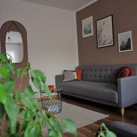 Cozy Apart Toplita מראה חיצוני תמונה