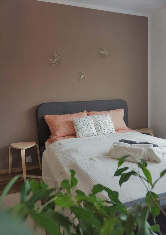 Cozy Apart Toplita מראה חיצוני תמונה